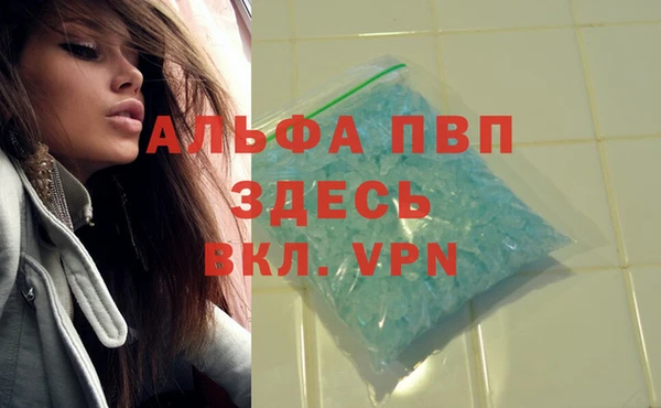 СК Магадан