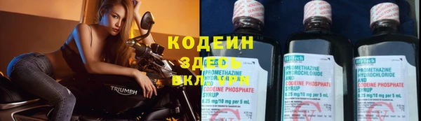 хмурый Майский