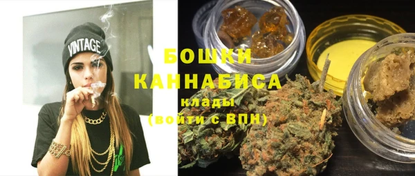 стаф Магас