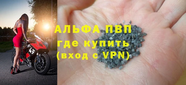 стаф Магас