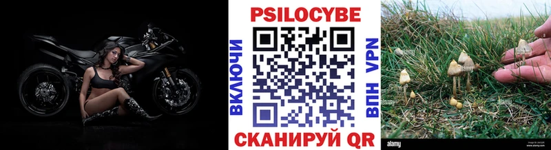 купить закладку  Благодарный  Псилоцибиновые грибы ЛСД 
