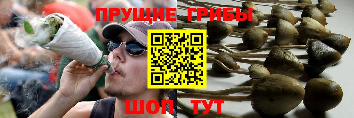 Благодарный  Галлюциногенные грибы GOLDEN TEACHER  Вход с VPN 